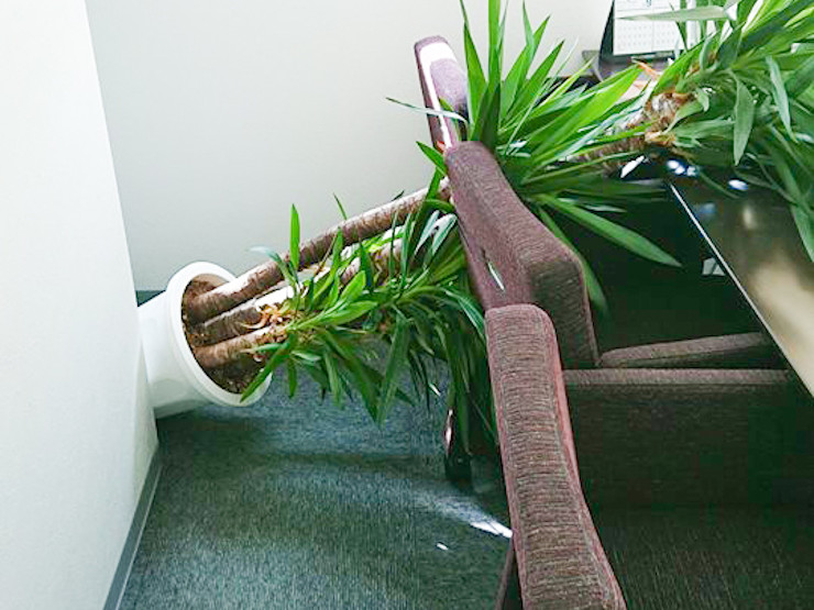 営業再開のお知らせ