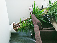 営業再開のお知らせ