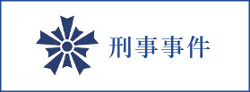 刑事事件